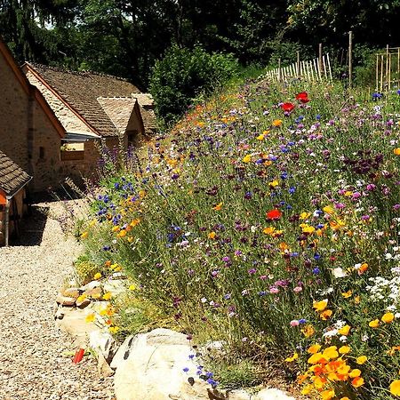 Domaine Des Marequiers Chambre Alchemille Saint-Germain-du-Teil Buitenkant foto