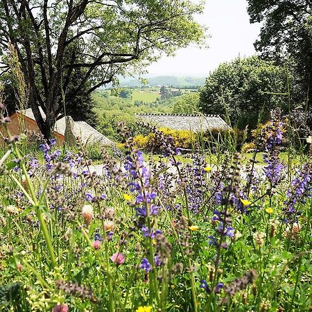Domaine Des Marequiers Chambre Alchemille Saint-Germain-du-Teil Buitenkant foto