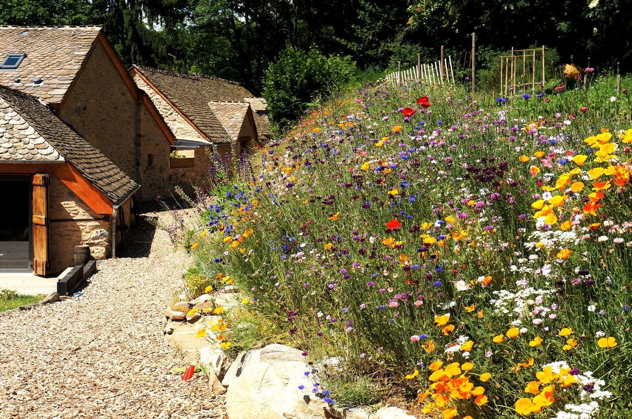 Domaine Des Marequiers Chambre Alchemille Saint-Germain-du-Teil Buitenkant foto