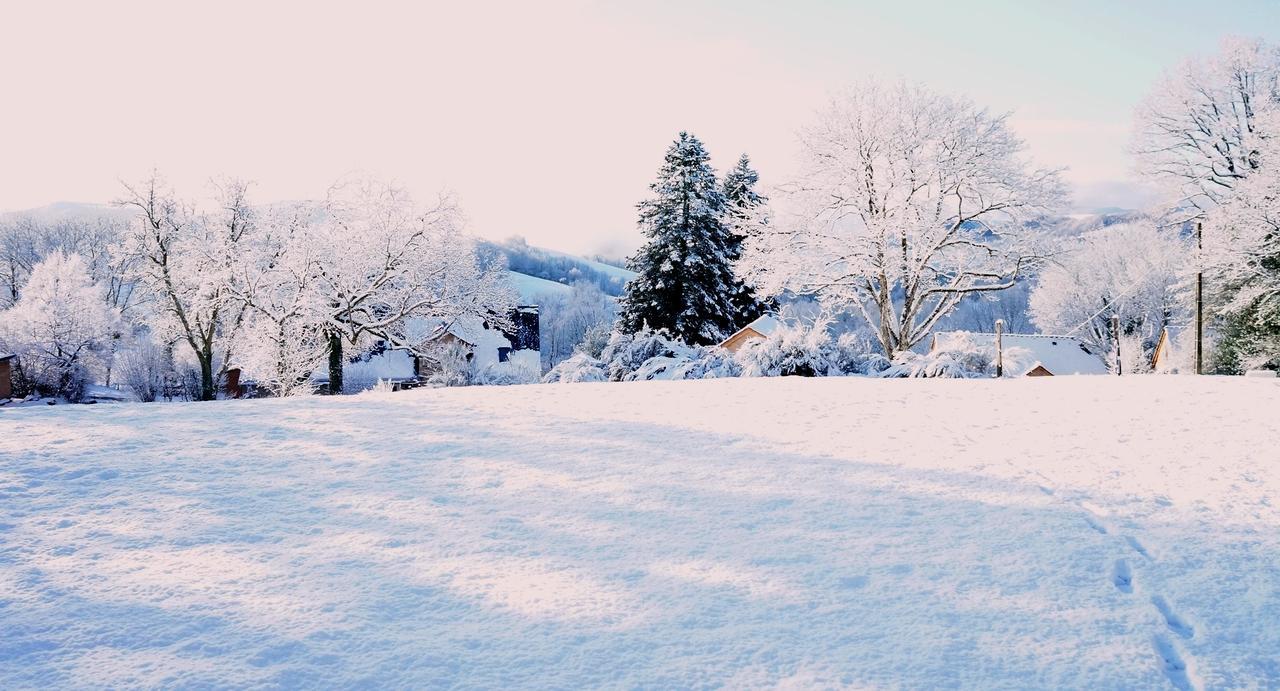 Domaine Des Marequiers Chambre Alchemille Saint-Germain-du-Teil Buitenkant foto