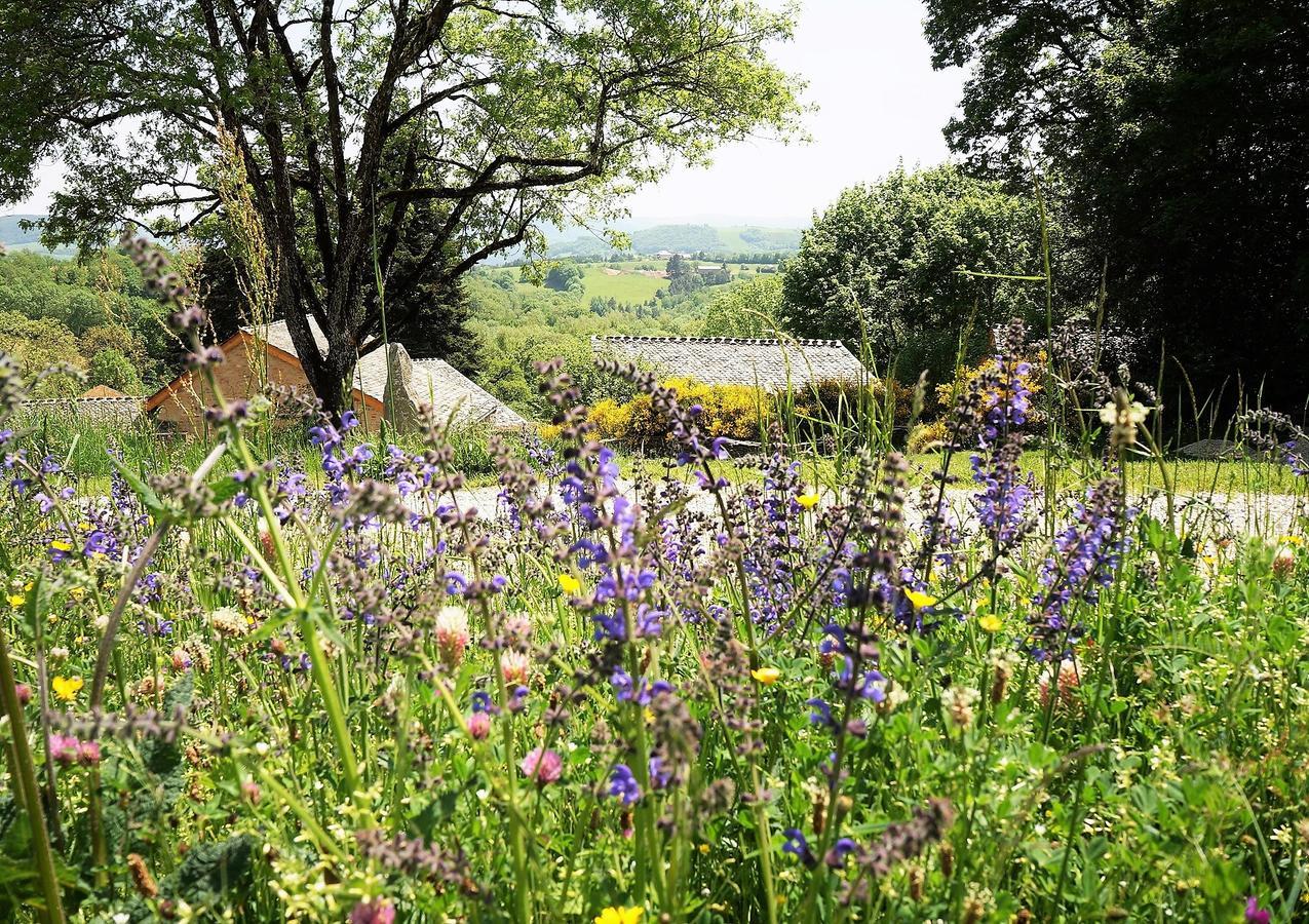 Domaine Des Marequiers Chambre Alchemille Saint-Germain-du-Teil Buitenkant foto
